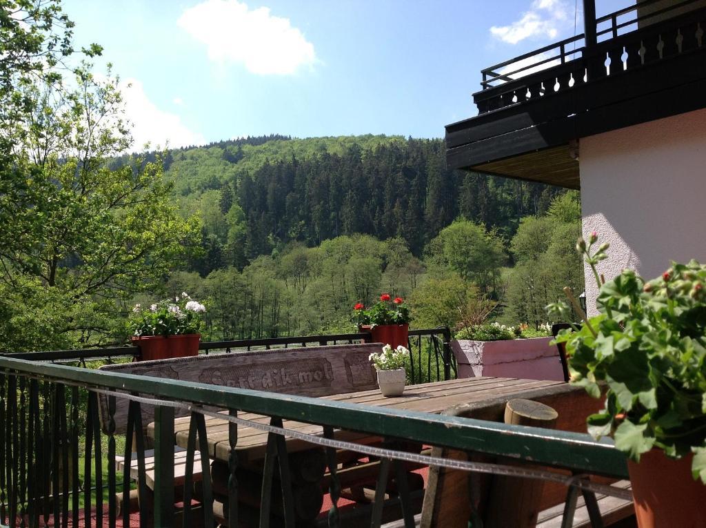 Hotel-Pension Zum Paradies Віллінген Екстер'єр фото